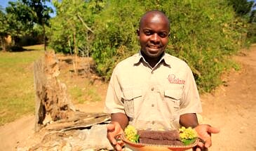 African Safari Guru - Kavinga Safari Camp - Mana Pools National Park - Zimbabwe - Service