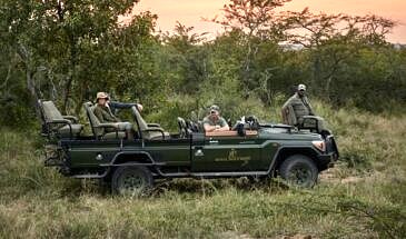 African Safari Guru - Royal Malewane Lodge - Thornybush Game Reserve - Big 5 Safari