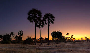 African Safari Guru - Zambezi Expeditions Camp - Mana Pools National Park - Zimbabwe - Sunset