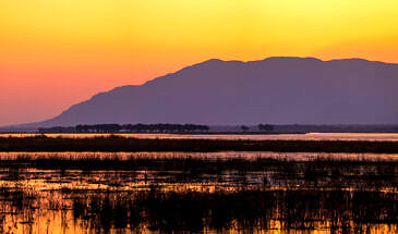 African Safari Guru - Zambezi Expeditions Camp - Mana Pools National Park - Zimbabwe - Sunset