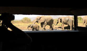 African Safari Guru - Kavinga Safari Camp - Mana Pools National Park - Zimbabwe - Underground Hide