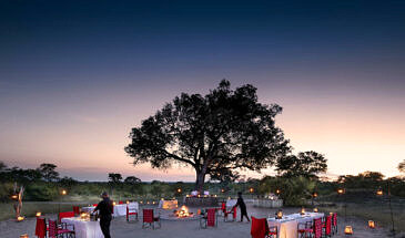 African Safari Guru - Chitwa Chitwa Lodge - Sabi Sands Game Reserve - Bush Dinner