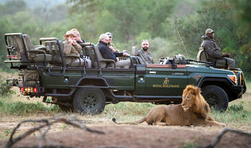 African Safari Guru - Royal Malewane Lodge - Thornybush Game Reserve - Wildlife