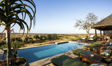 African Safari Guru - Misava Safari Camp - Klaserie Game Reserve - Greater Kruger National Park - South Africa - Pool View