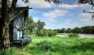 African Safari Guru - Simbavati River Lodge - Timbavati Game Reserve - Greater Kruger National Park - South Africa - Luxury Tented View