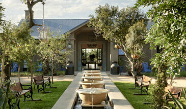 African Safari Guru - Royal Malewane Lodge - Thornybush Game Reserve