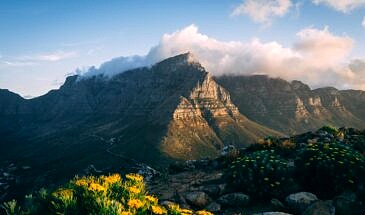 tobias-reich-je56s222rw0-unsplash